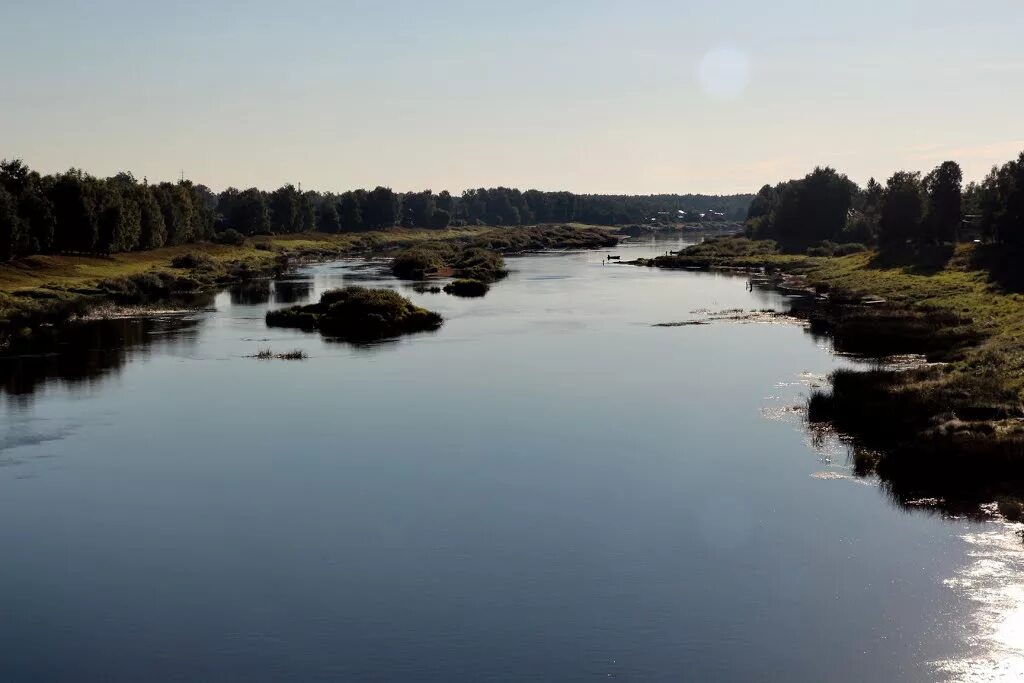 Уровень воды в реке молога. Река Молога Устюжна. Речка Молога Устюжна. Река Молога Вологодская. Молога река город Пестово.