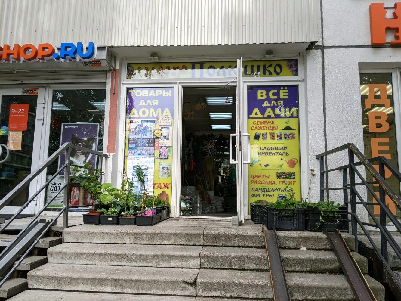 белы куна 32 санкт-петербург. белы куна 8. белы куна, 8. белы куна 8.