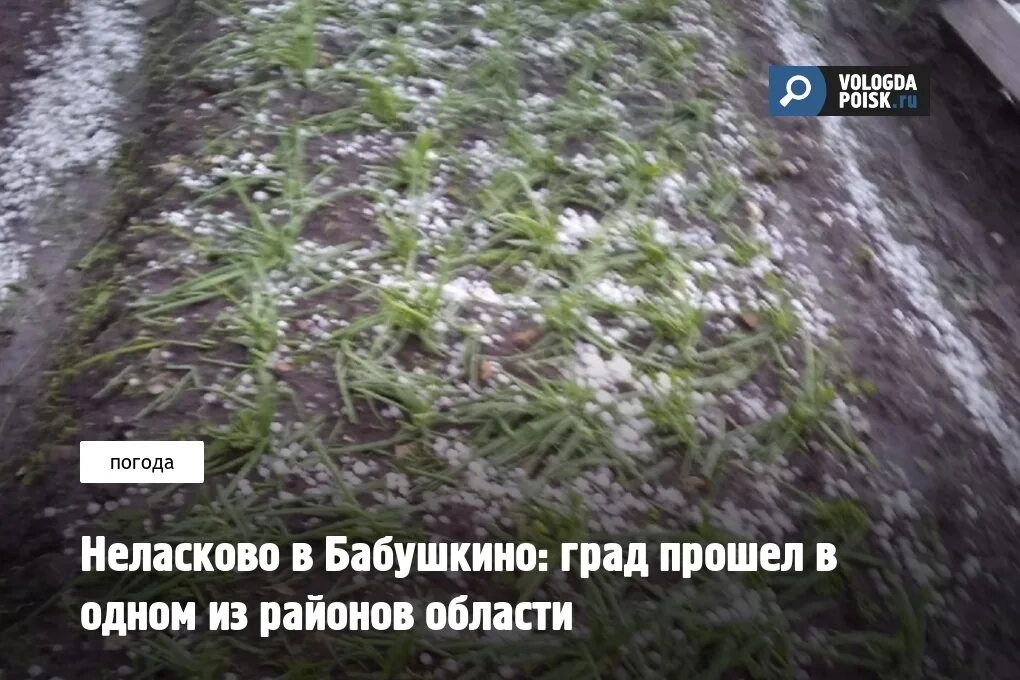Зимнее солнце неласково неласково встретил. Град. Град град. Новости Вологды. Града.
