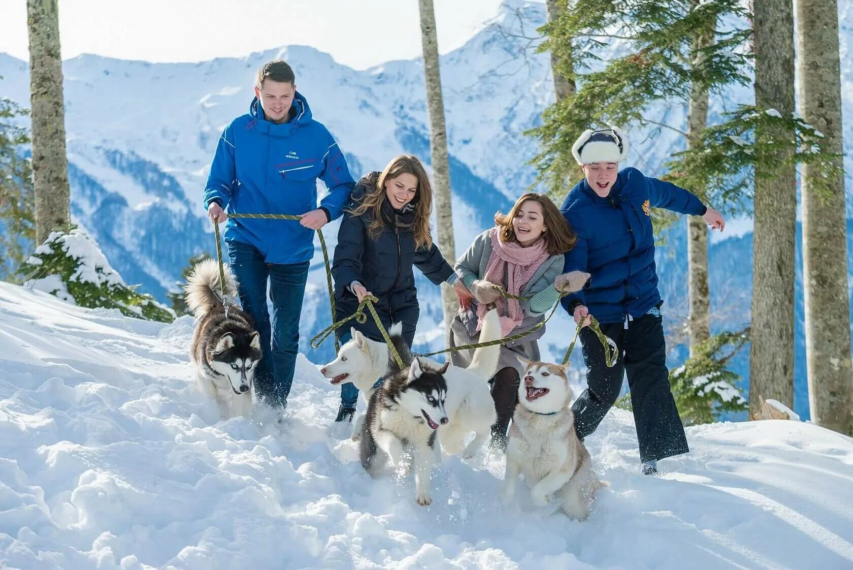 Хаски центр красная поляна. Хаски центр сочи красная поляна. Хаски парк сочи. Хаски парк красная поляна. Хаски парк красная поляна.