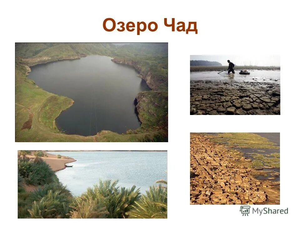озеро чад презентация. камерун озеро чад. бассейн реки шари. укажите самый крупный приток озера чад. озеро чад заболоченное.