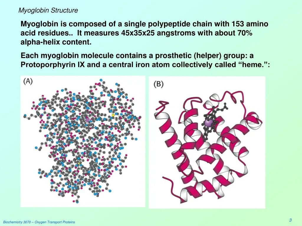 Белки группа соединений. Миоглобин. Третичная структура миоглобина. Миоглобин структура. Структура миоглобина биохимия.