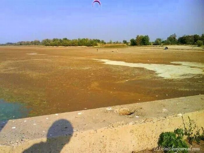 Обмеление Цимлянского водохранилища. Цимлянское водохранилище обмеление. Цимла водохранилище. Обмелевшее Цимлянское водохранилище. Цимлянское водохранилище уровень воды на сегодня