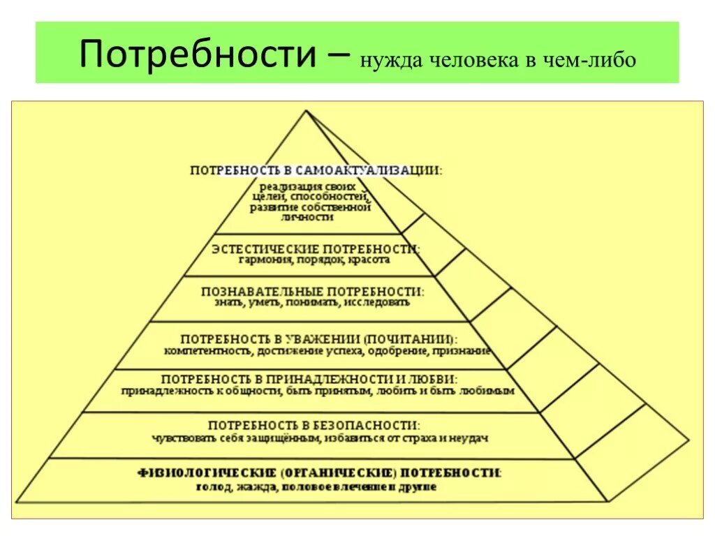 Потребности человека. Основные потребности человека. Базовые потребности человека. Познавательные потребности.