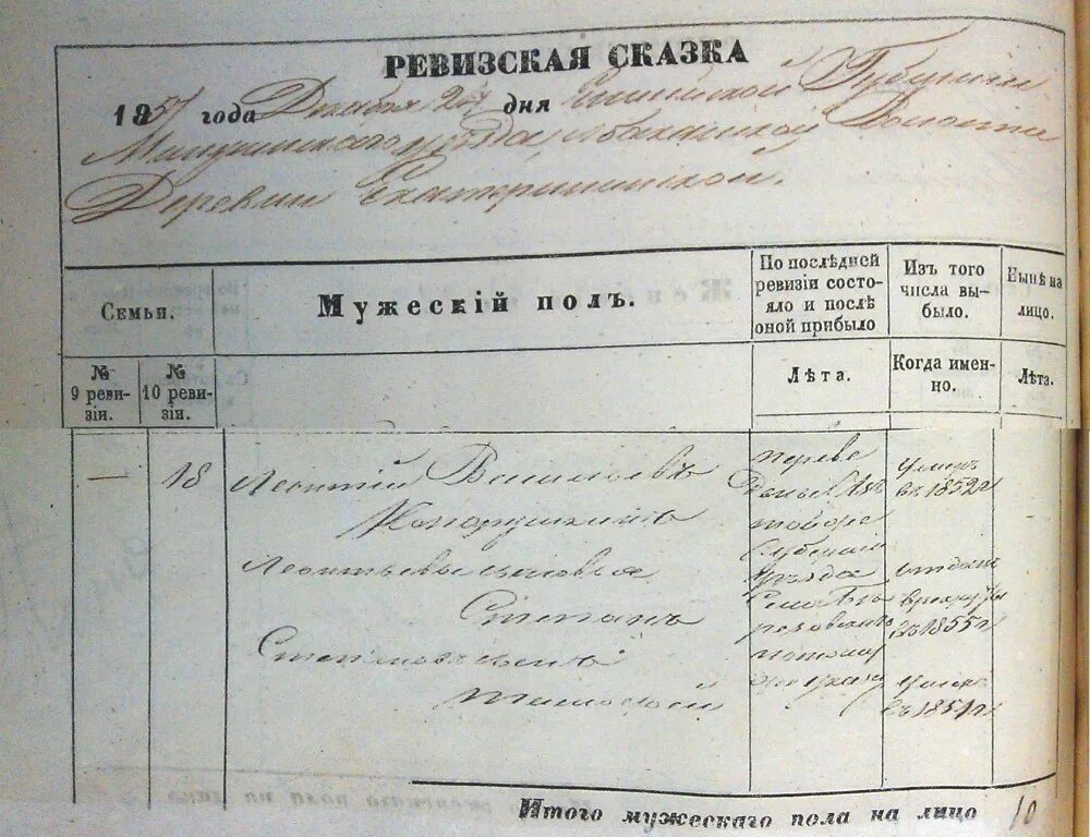 Ревизия сказка. Ревизская сказка 1858 года Тамбовская Губерния. Ревизские сказки 1834 Воронежской губернии. Ревизские сказки 18 века Воронежской губернии. Ревизская сказка метрическая книга.