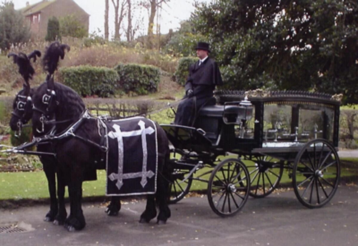 Horses funeral. Horses funeral. Band of horses the funeral. Группа band of horses. Hearse funeral.