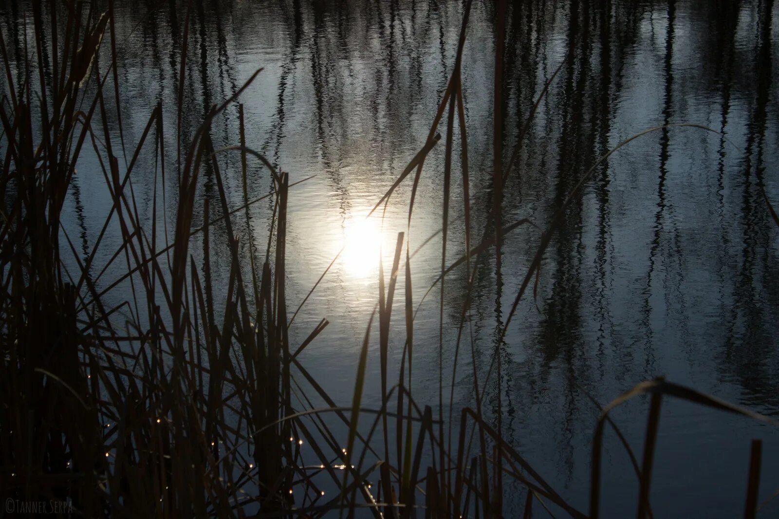 Ночной омут. Омут ночи. Озеро фэнтези. Озеро мистика. Болото.
