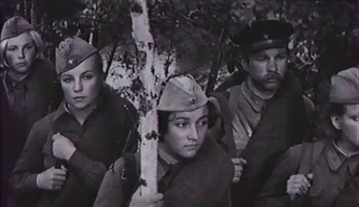 тихие зори ростоцкого. тихие зори ростоцкого. киноляпы в фильме а зори здесь тихие 1972. ирина долганова соня гурвич. а зори здесь тихие соня гурвич смерть.