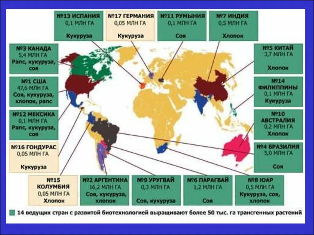 Трансгенные растения в мире. Карта распространения ГМО. Страны выращивающие трансгенные растения. Распространение ГМО. Страны выращивающие хлопок