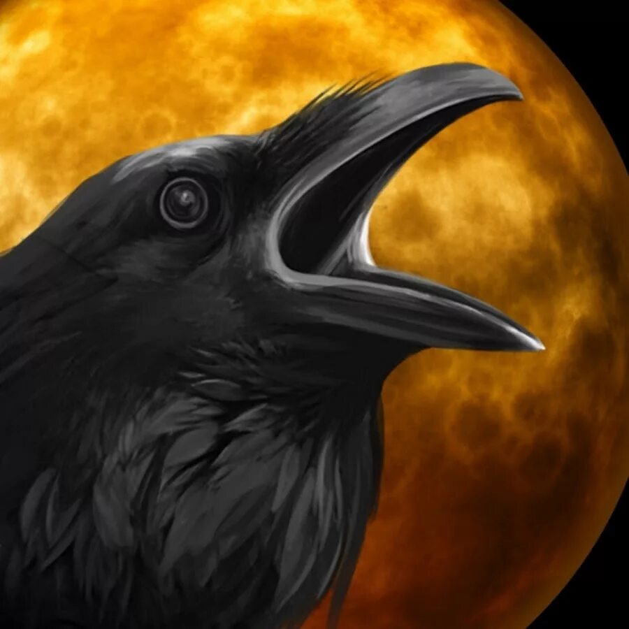 Черный ворон ютуб. Черный ворон ютуб. Маска ворона. Ворон пустоты. Черный ворон войны.