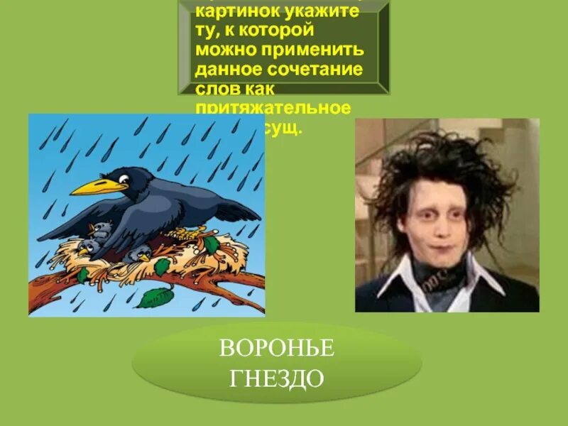 Словосочетание воронье гнездо