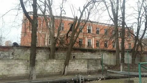 Мечникова платные услуги