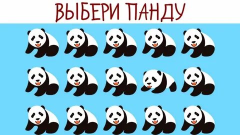 Тест на внимательность в картинках