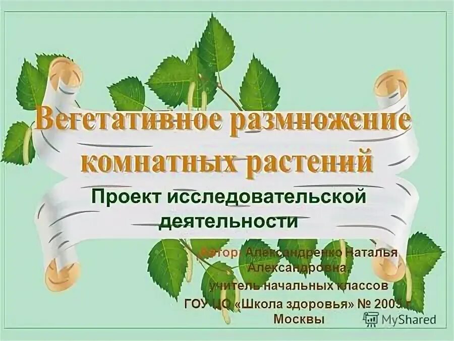 Исследовательская работа писатели. Проект и исследовательская работа 1 класс растения.