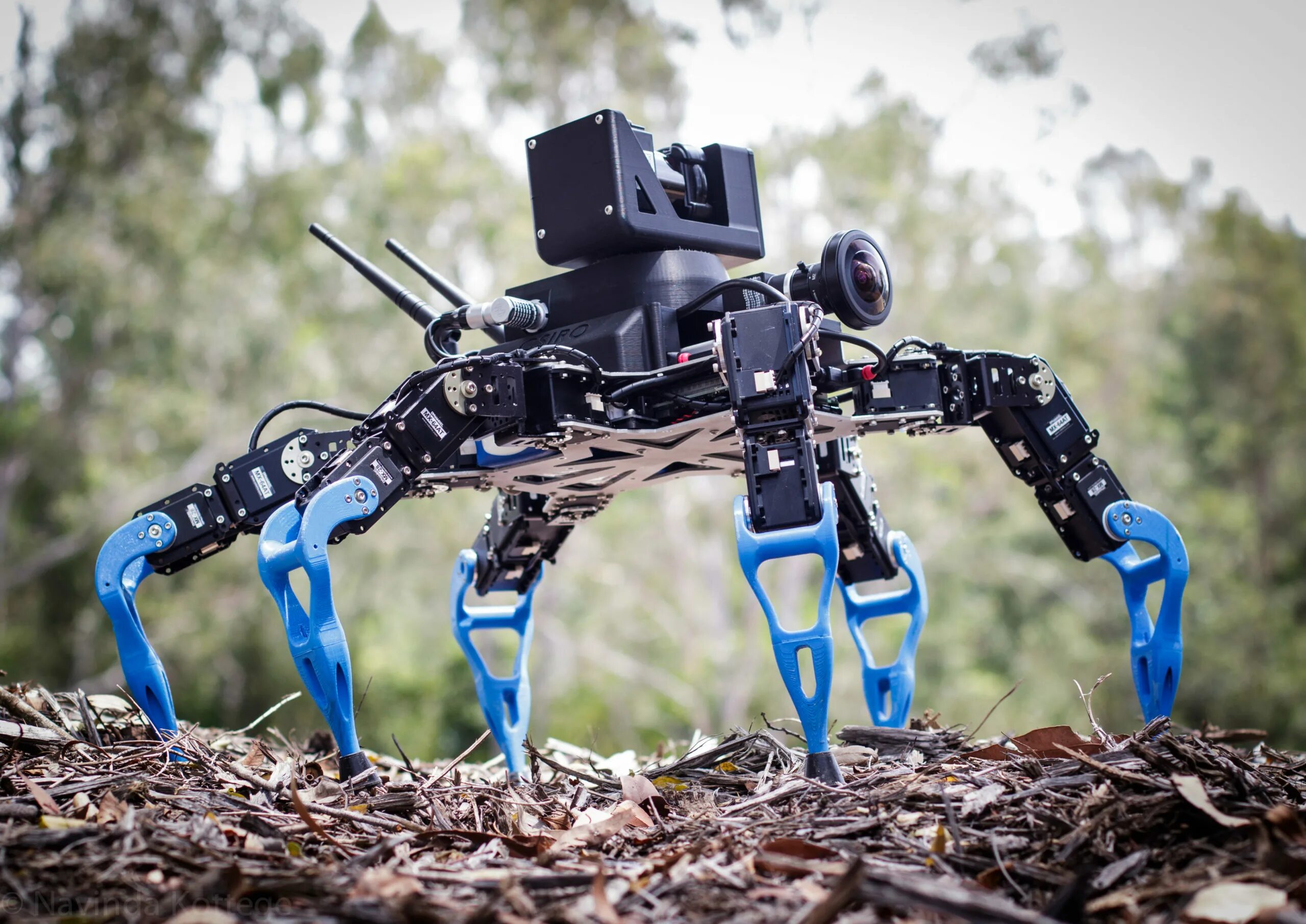 Найти роботы 1. Шестиногий робот гексапод. робот паук hexapod. роботы darpa. робот hexapod эйдос.
