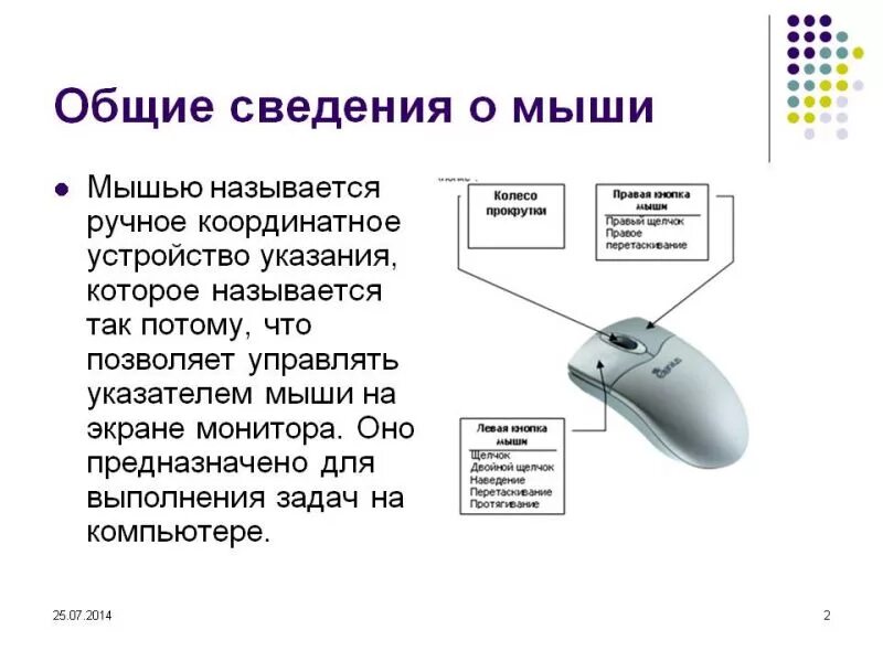 Мышь относится к группе. Структурная схема компьютерной мыши. Основные характеристики мыши компьютера. Описание компьютерной мышки. Компьютерная мышь описание.