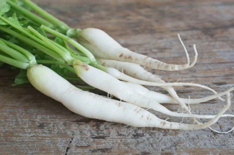 Белый большой овощ. Витамины в редьке дайкон. Редька дайкон. Белая редька дайкон. Витамины в редьке дайкон.