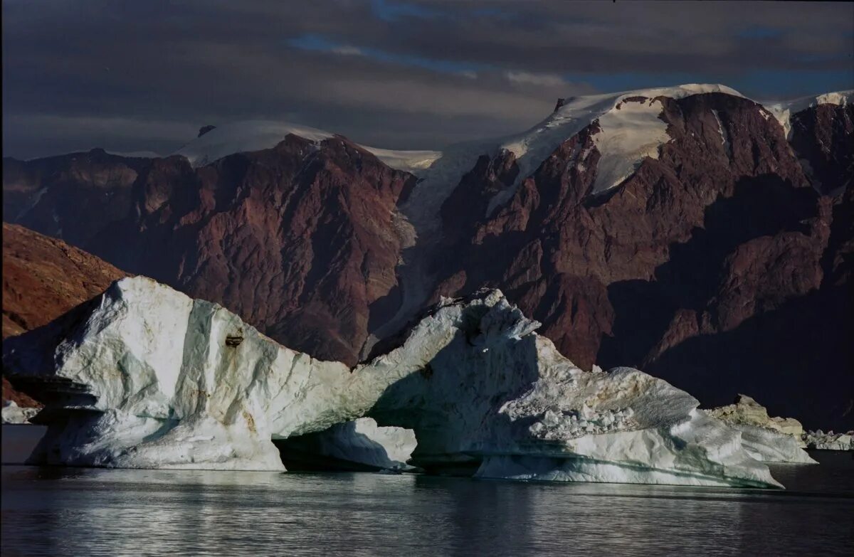 Национальный парк Северо-Восточной Гренландии. Гренландский национальный парк Гренландия. Гренландский национальный парк заповедник. Скорсби Фьорд.