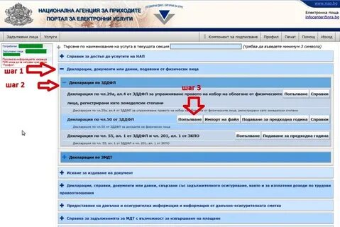 Декларация физического лица 2024