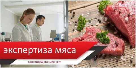 Мясная экспертиза