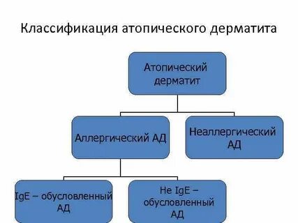 Дерматиты классификация