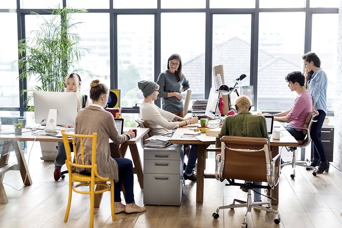 Go work use. Люди в офисе. Офис с сотрудниками. Работник офиса. Рабочая обстановка в офисе.