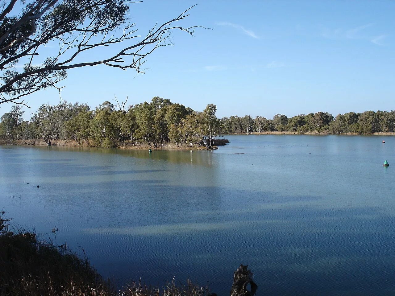 Дарлинг приток. Река Муррей. Реки Дарлинг и Муррей. Река Дарлинг в Австралии. Муррей в Австралии.