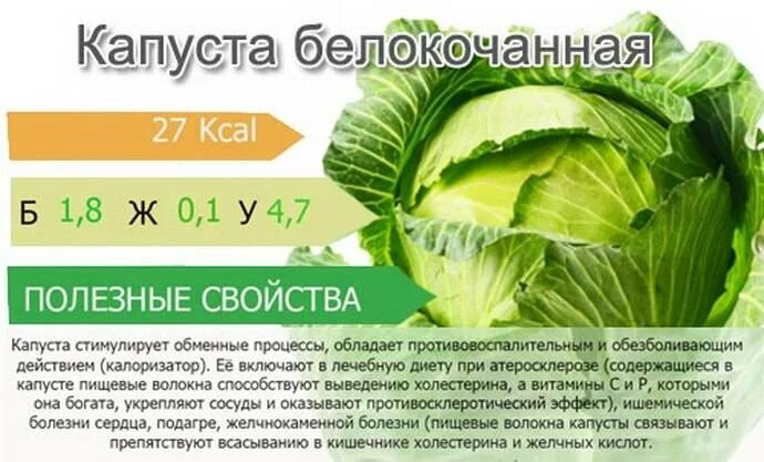 Какие витамины содержатся в капусте белокочанной. Витамины в капусте белокочанной. капуста белокочанная калорийность. чем полезна капуста белокочанная. какие витамины в капусте белокочанной свежей.