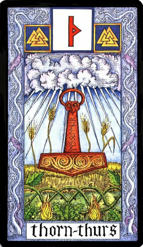 13 Eihwaz - Witches Runes by Silver RavenWolf and Nigel Jackson Futhark runes, R