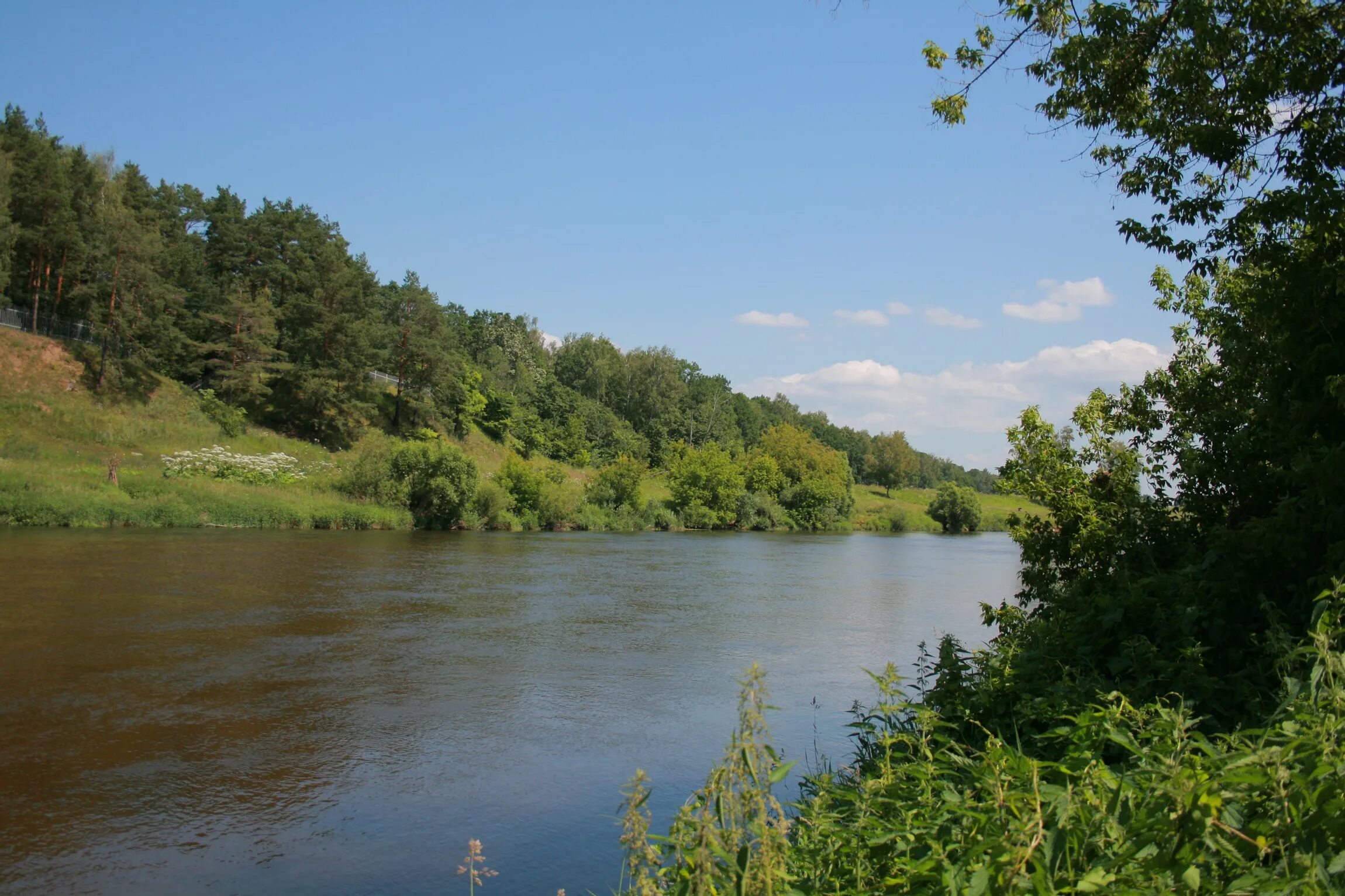 Поселок река река живут. Поселок река-река в Звенигороде. Чапаевка (река). Чапаевка река Одинцовский район. Поселок на берегу реки.