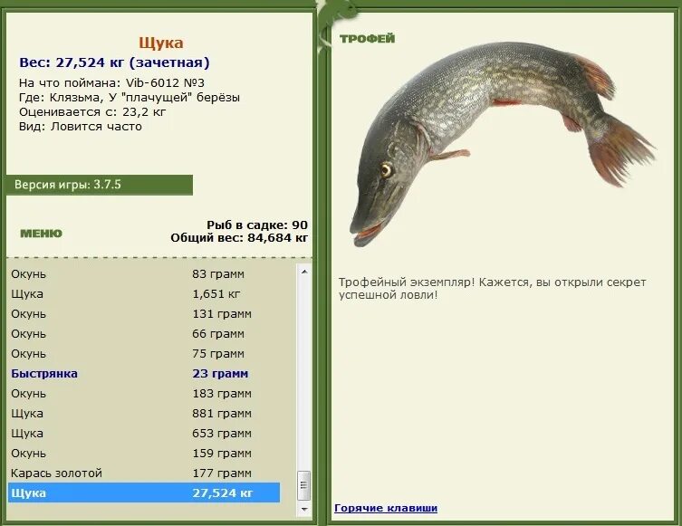 перспективные места на реке. где ловить щуку. места ловли щуки на реке зимой. где ловить щуку. щука речная максимальная длина.