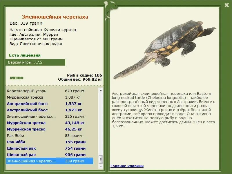 сколько весит средняя черепаха. сколько весит средняя черепаха. сколько весит средняя черепаха. сколько весит средняя черепаха. масса черепахи.