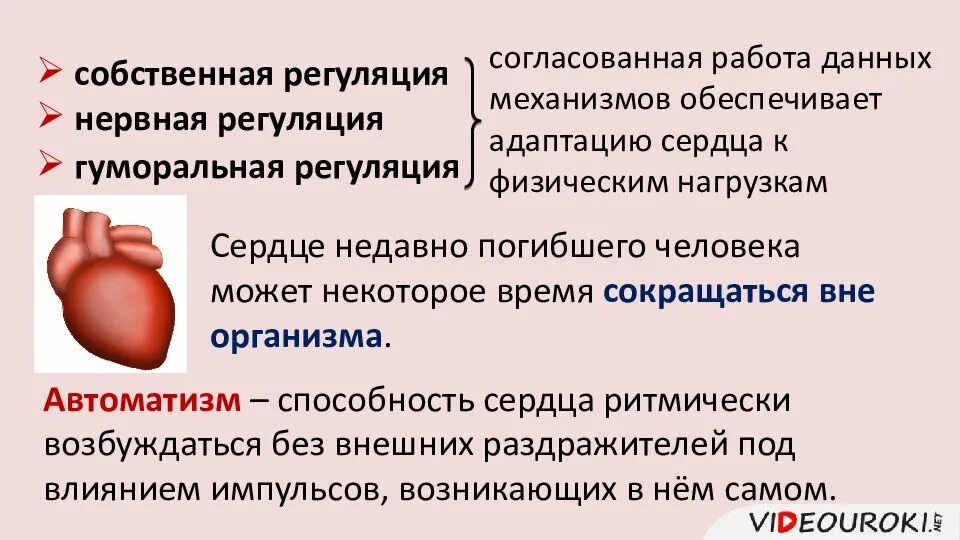 Гуморальная регуляция работы сердца человека. Регуляция сердечной деятельности биология 8 класс. Регуляция работы сердца и кровеносных сосудов. Регуляция работы сердца и кровеносных. Регуляция работы сердца таблица.