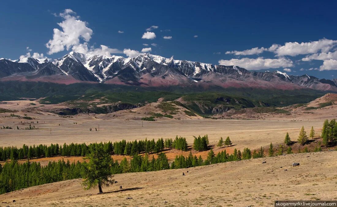 Чуйская степь Алтай. Курайская степь Актру. Чуйская степь Кош-Агач. Курайск ая степь Алтай Дикир лошпди.