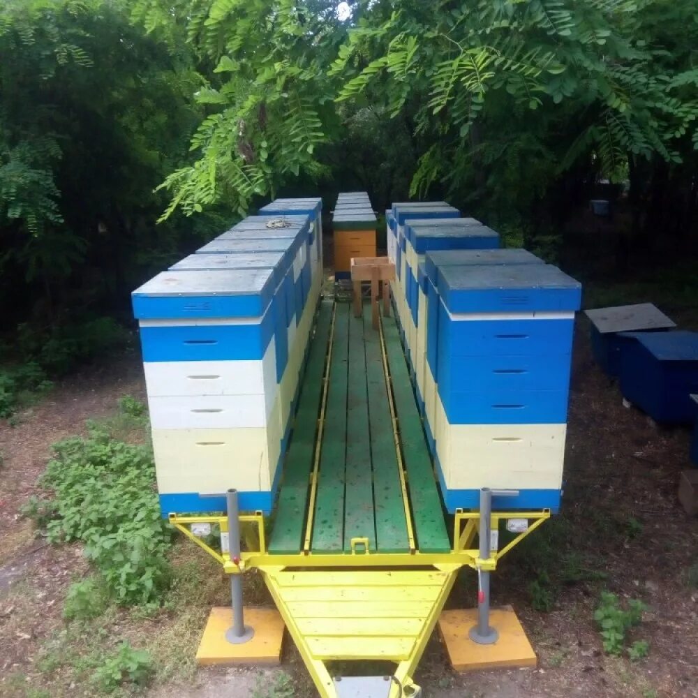 Прицеп улей. Прицеп ппу 48 пчеловодческий. пчелоприцеп на 20 ульев. прицеп пчеловодческий платформа. прицеп пчеловодческий платформа орион 9.
