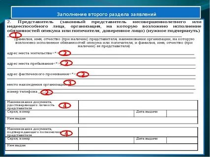 Местонахождение организации это