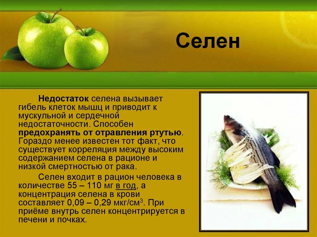 Селен. Селен для организма. Селен в продуктах.