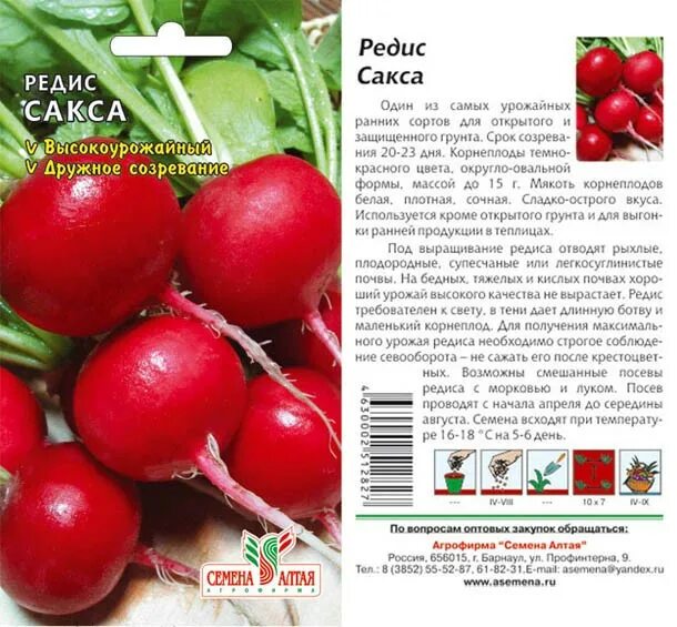 В какое время созревает редис. Редис сакса рс (200% new) (6г). редис сорт сакса. редис сакса рс описание.