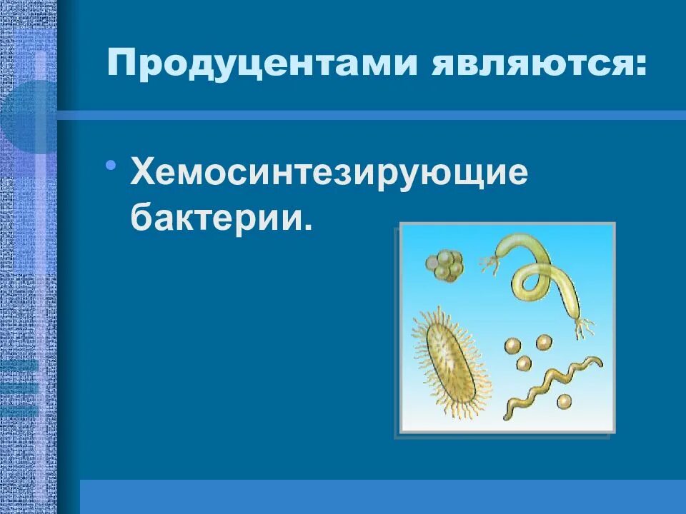 Хемосинтезирующие бактерии в экосистеме продуценты. Хемосинтезирующие бактерии. хемосинтезирующими бактериями являются. бактерии являются продуцентами. хемосинтезирующие организмы бактерии.