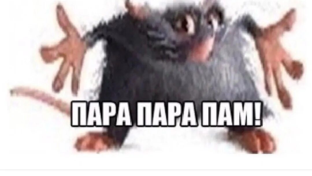 Мем пара пара пам. Па парам папа. Пара пара пам. Пара пара пам ералаш. Па парам папа.