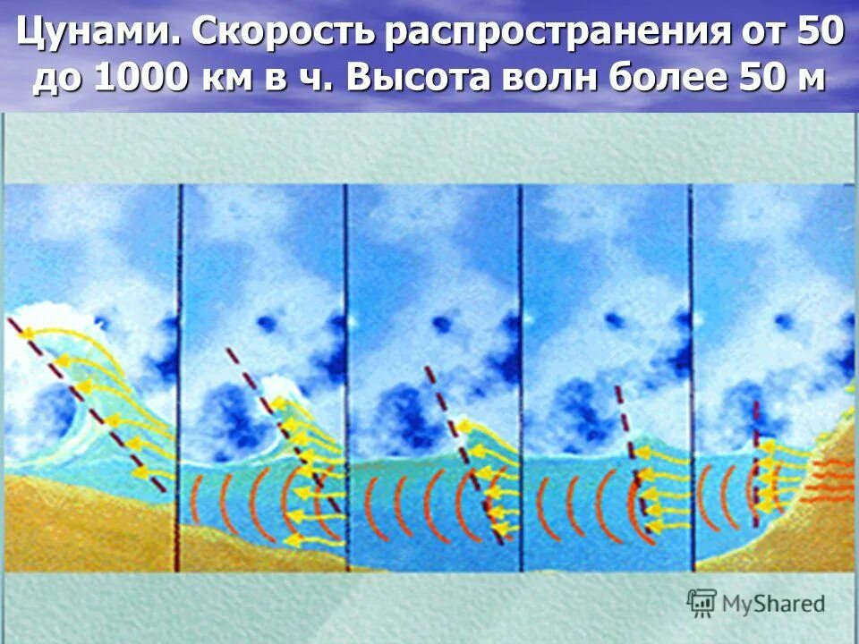 Цунами инфографика. Максимальная скорость цунами. Процесс образования цунами. Высота цунами в океане. Максимальная скорость цунами.