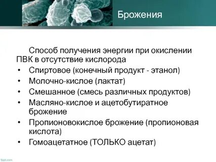 Конечными продуктами брожения являются