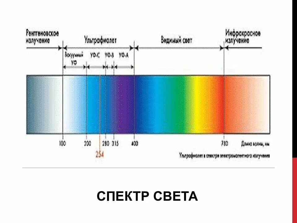 Сколько спектров света