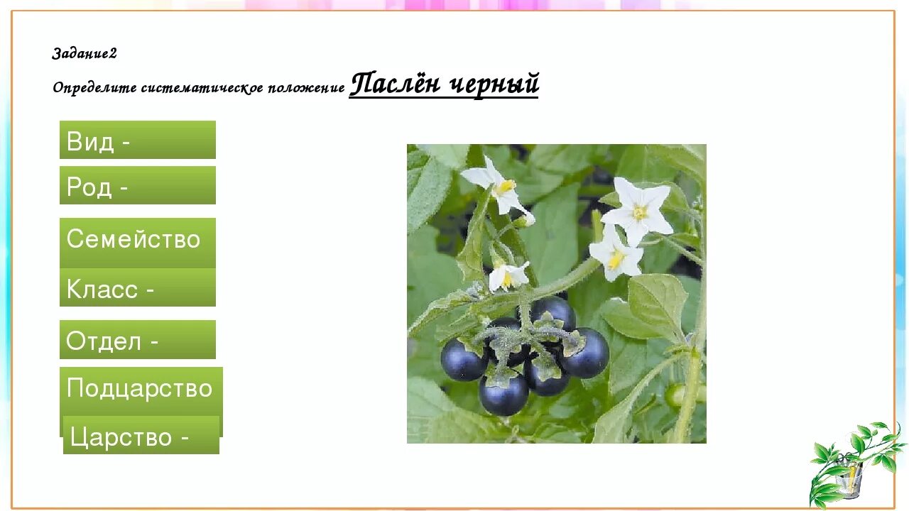 Ч5л5т5п1 к какому классу относят