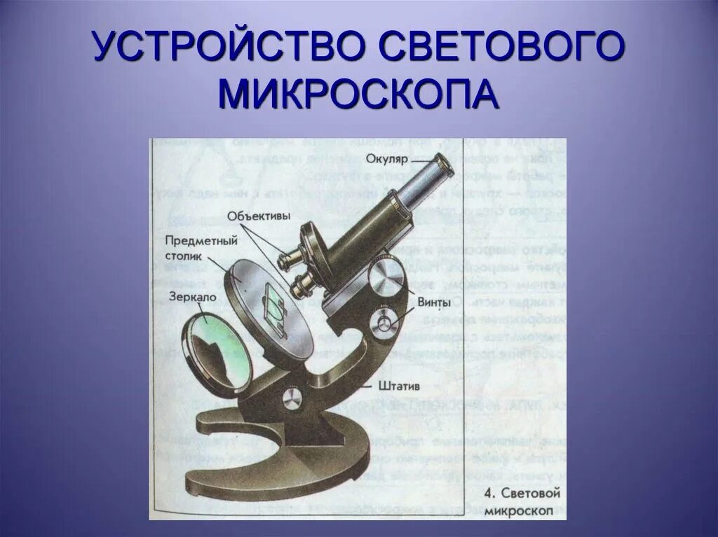 Микроскоп и его части 5 класс биология. Строение микроскопа 5 класс биология. Световой микроскоп строение. Биология 5 кл строение микроскопа. Строение светового микроскопа 5 класс.