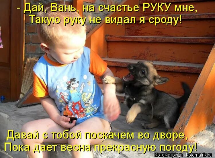 нет уж позвольте. не предадут не кинут. счастливые моменты жизни. животные лучше людей. пойду на свидание без трусов.