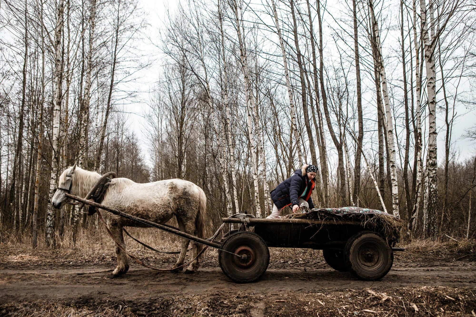 Крестьянин на телеге. Мотоцикл в поле. Лошадь с телегой сена. Девушка на сене. Крестьянская телега.