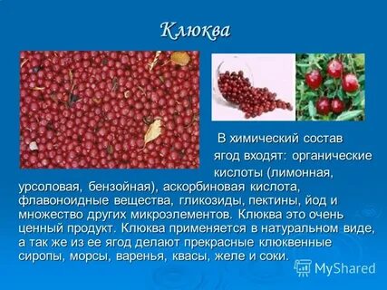 Клюква состав