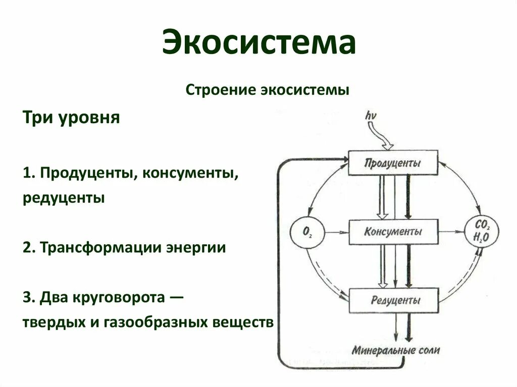 Составить экологическую систему