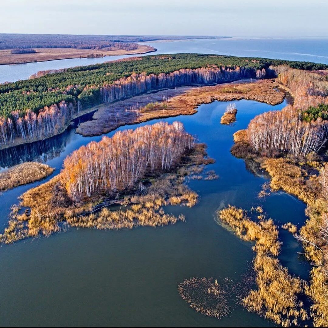 Самая большая сибирская река. Низовья реки Обь. Река Обь в Западной Сибири. Излучина реки Обь. Верховье реки Обь.